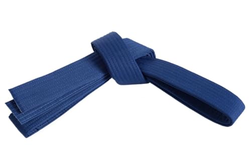 Mastery Leadership (blauer Gürtel, 1) von Mastery Martial Arts