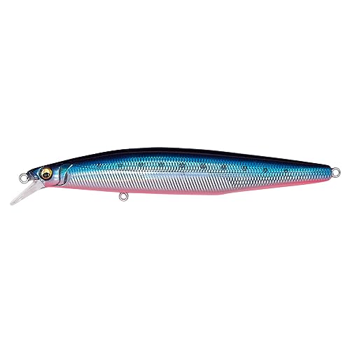 Megabass Poisson Nageur Marine Gang Cookai 120F – 12 cm – 19 g – Lz Blue Pink Iwashi – Rassel – schwimmend – Marine G C 120F Lz B von Megabass