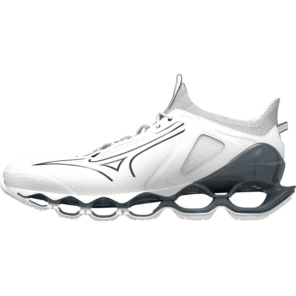 Mizuno Wave Prophecy 14 Running Shoes  EU 38 1/2 Mann von Mizuno
