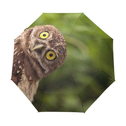 Kompakter Reise-Regenschirm, lustige Eule, automatisches Öffnen und Schließen, winddicht, UV-Schutz von Mnsruu