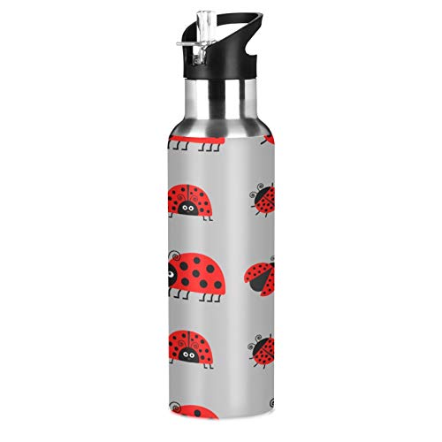 MNSRUU Trinkflasche mit Marienkäfer-Muster, isoliert für Mädchen und Jungen, Edelstahl-Wasserflasche mit Strohhalm, 590 ml von Mnsruu