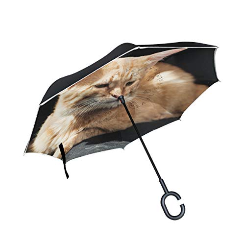 Mnsruu Doppelschichtiger umgekehrter Regenschirm, Motiv: Ingwer Katze, Anti-UV, wasserdicht, winddicht, umgekehrter Regenschirm für Auto, Regen, Außenbereich, mehrfarbig, Einheitsgröße, Modern von Mnsruu