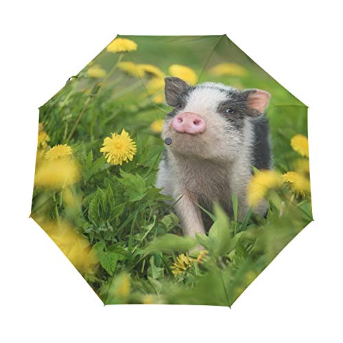 Schwein mit Blume Faltbarer Regenschirm Winddicht Regen Automatisch Öffnen Schließen Reise Regenschirm UV-Schutz für Damen Herren von Mnsruu