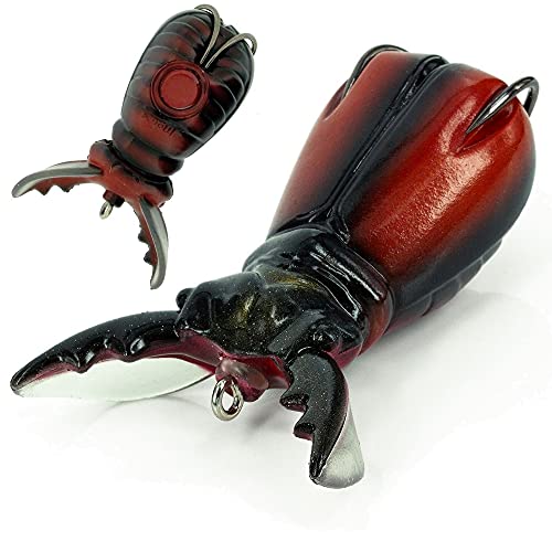 Molix Supernato Beetle Baby Farbe Stag Beetle von Molix