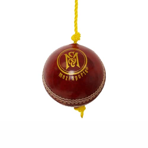 Mozi Sports String Cricketbälle - Entwickeln Sie Hand-Augen-Koordination, Leder-Ball zum Üben von Mozi Sports