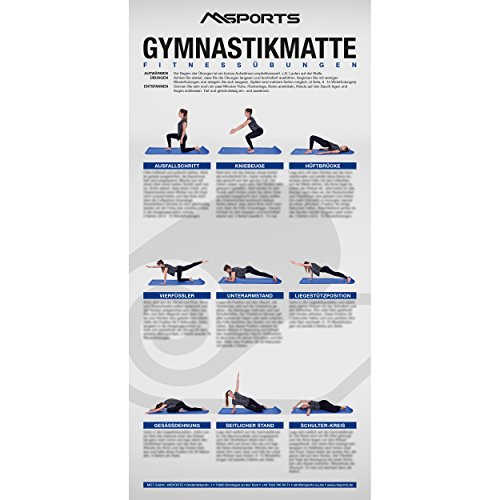 MSPORTS Übungsposter für Gymnastikmatten ca. 44x 21 cm | 9 Übungen von MSPORTS