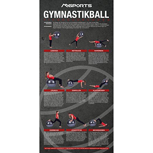 MSPORTS Übungsposter für den Gymnastikball | ca. 44 x 21 cm | 9 Übungen von MSPORTS