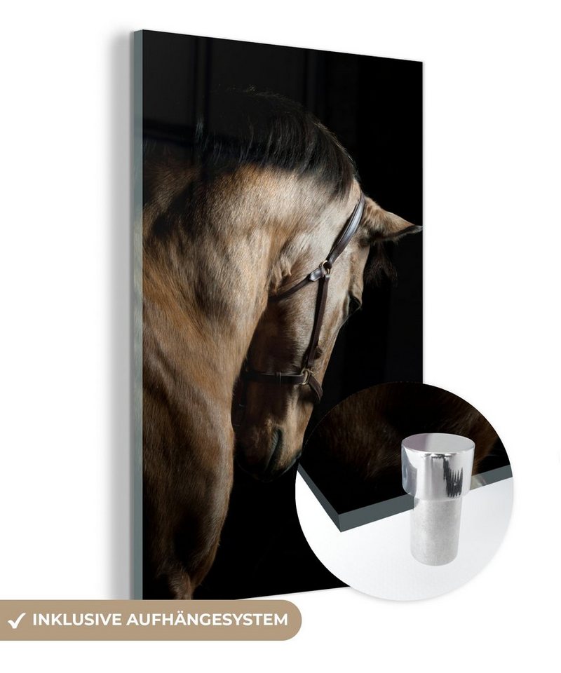 MuchoWow Acrylglasbild Pferde - Halfter - Schwarz, (1 St), Glasbilder - Bilder auf Glas Wandbild - Foto auf Glas - Wanddekoration von MuchoWow
