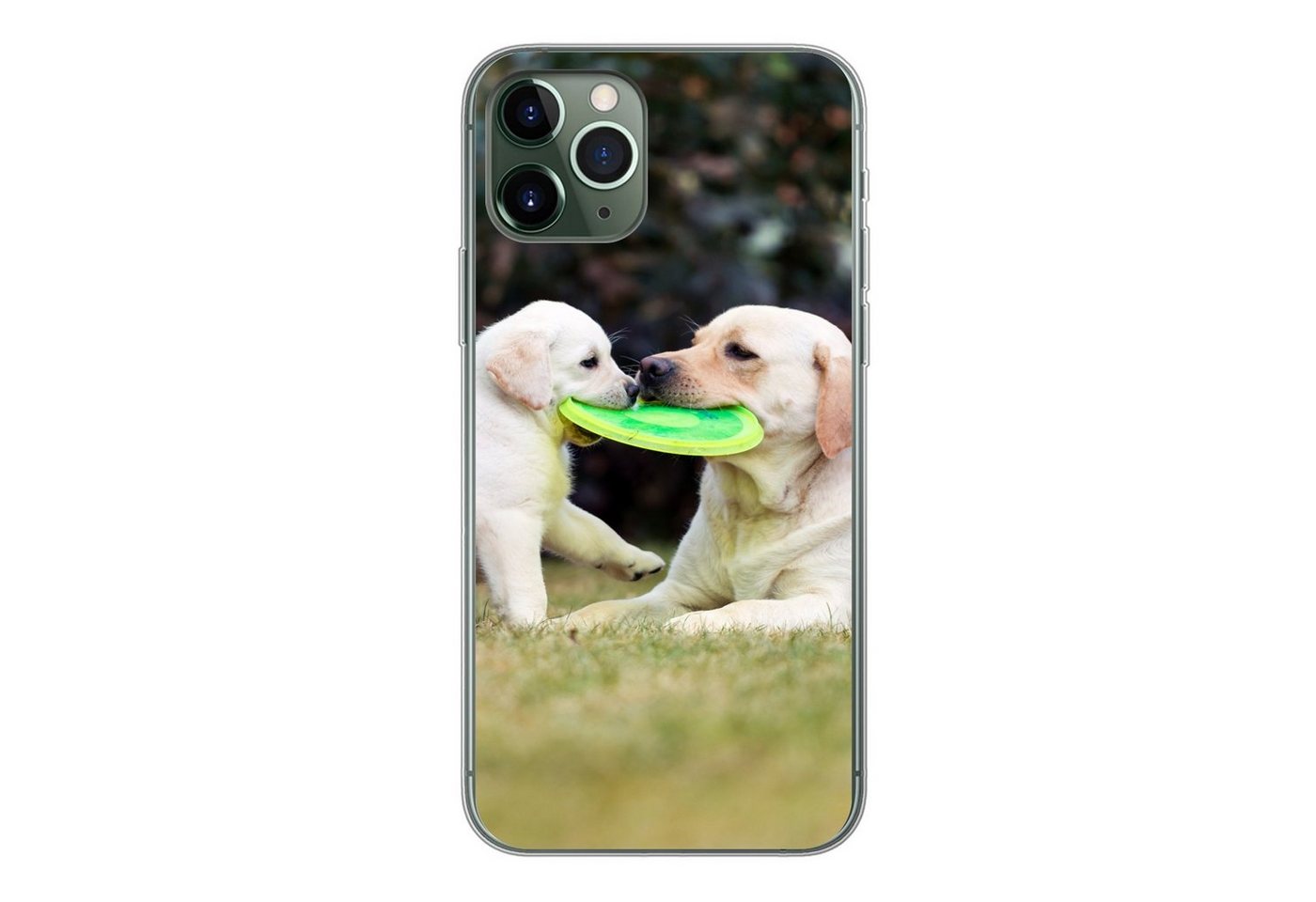 MuchoWow Handyhülle Hund mit seinem Welpen und einem Frisbee, Handyhülle Apple iPhone 11 Pro, Smartphone-Bumper, Print, Handy von MuchoWow