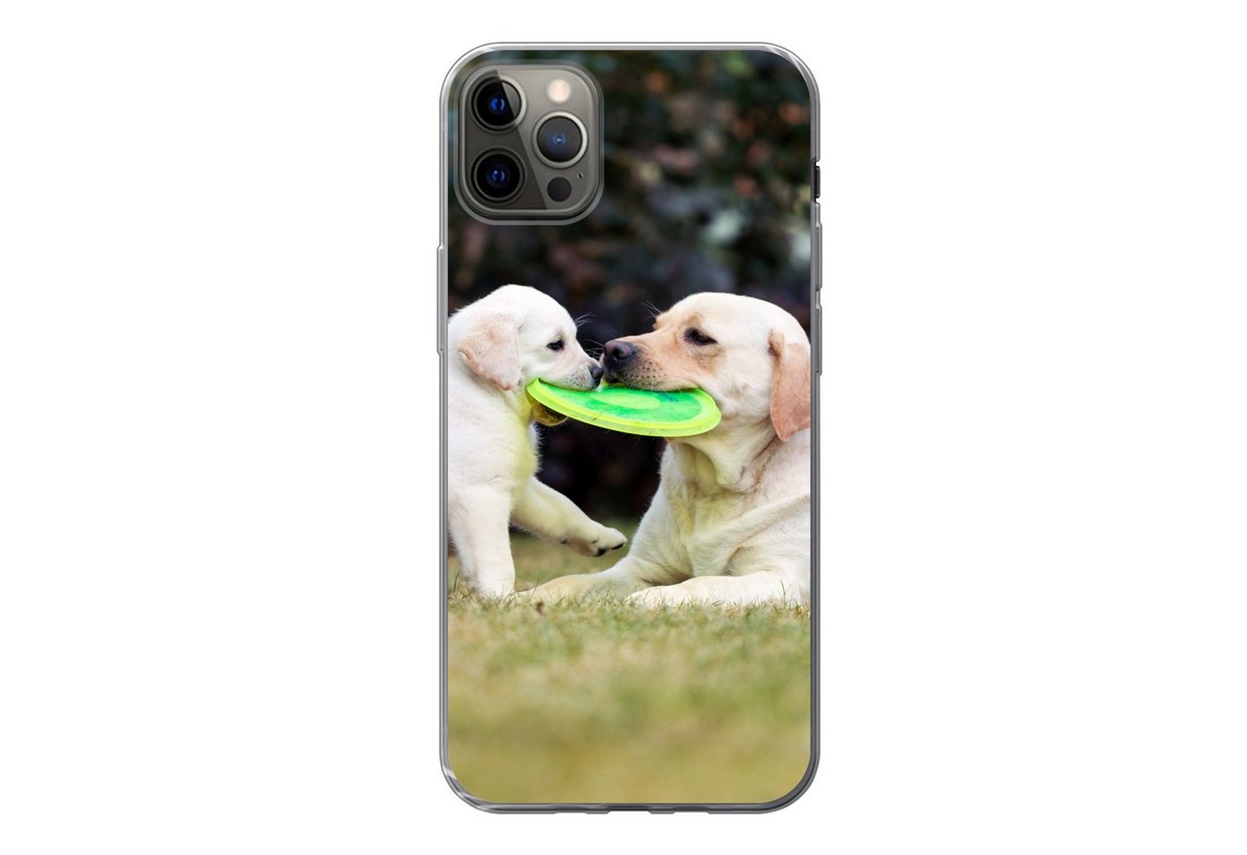 MuchoWow Handyhülle Hund mit seinem Welpen und einem Frisbee, Handyhülle Apple iPhone 12 Pro Max, Smartphone-Bumper, Print, Handy von MuchoWow