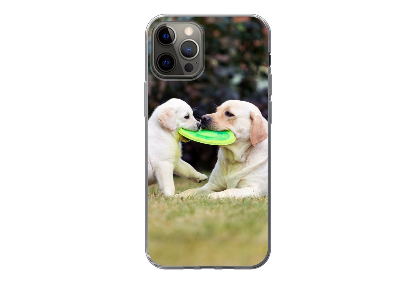 MuchoWow Handyhülle Hund mit seinem Welpen und einem Frisbee, Handyhülle Apple iPhone 13 Pro, Smartphone-Bumper, Print, Handy von MuchoWow