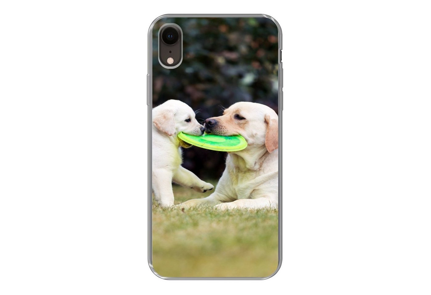 MuchoWow Handyhülle Hund mit seinem Welpen und einem Frisbee, Handyhülle Apple iPhone XR, Smartphone-Bumper, Print, Handy von MuchoWow