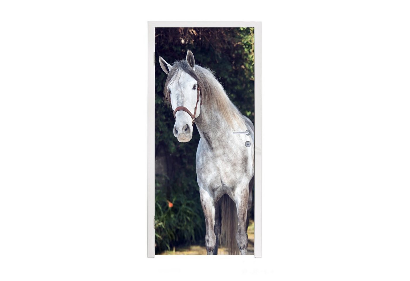 MuchoWow Türtapete Pferd - Halfter - Natur, Matt, bedruckt, (1 St), Fototapete für Tür, Türaufkleber, 75x205 cm von MuchoWow