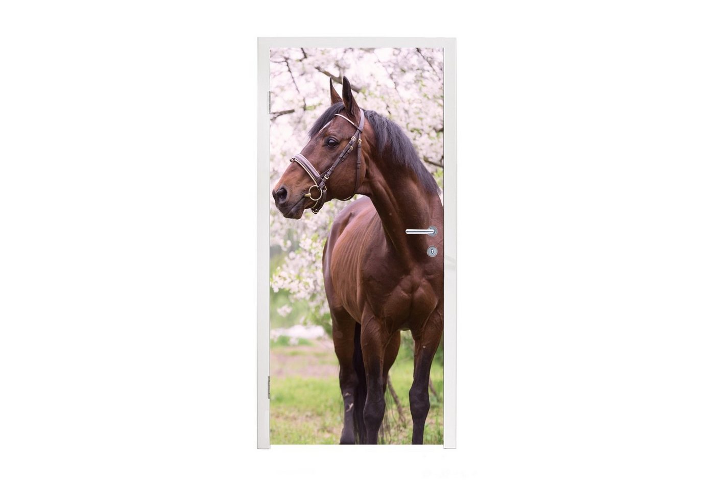 MuchoWow Türtapete Pferd - Sakura - Halfter, Matt, bedruckt, (1 St), Fototapete für Tür, Türaufkleber, 75x205 cm von MuchoWow