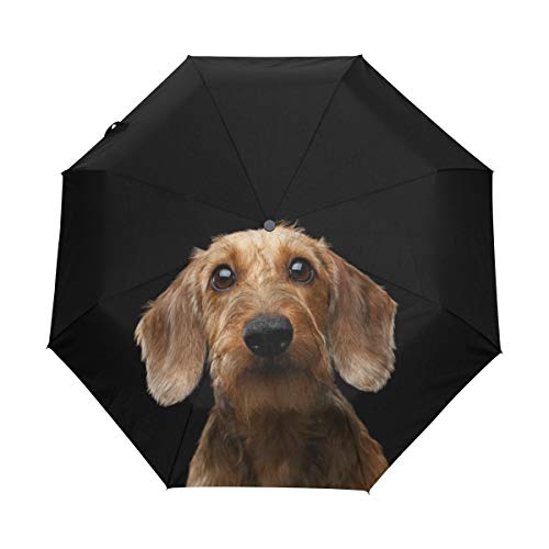 My Daily Dackel Reise-Regenschirm, automatisches Öffnen/Schließen, leicht, kompakt, winddicht von My Daily
