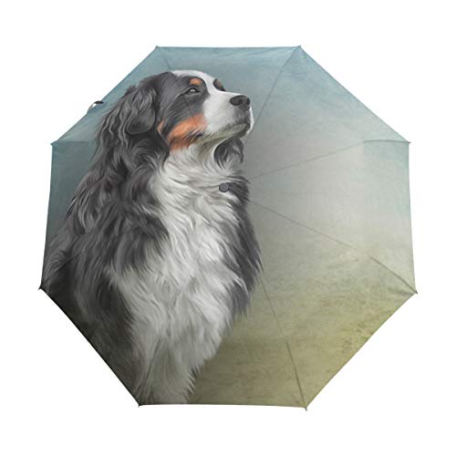 My Daily Regenschirm für Berner Sennenhund, automatisches Öffnen und Schließen, Anti-UV, winddicht, leicht, kompakt von My Daily