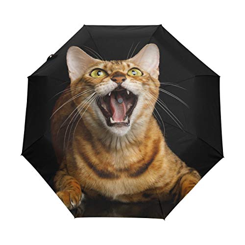 My Daily Regenschirm mit Bengal-Katze zum automatischen Öffnen und Schließen, Anti-UV, winddicht, leicht, kompakt, faltbar von My Daily