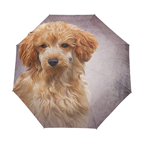 My Daily Regenschirm mit Pudel-Motiv, Vintage-Stil, für Reisen, automatisches Öffnen und Schließen, UV-Schutz, winddicht, leicht, kompakt von My Daily