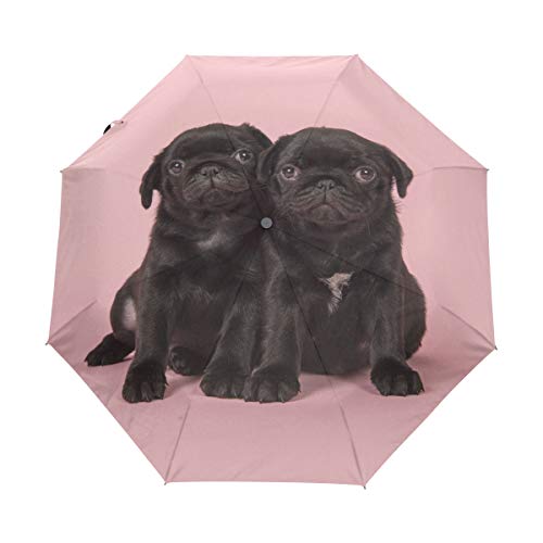 My Daily Schwarzer Regenschirm mit Mops-Welpenmotiv, automatisches Öffnen und Schließen, Anti-UV, winddicht, leicht, kompakt von My Daily