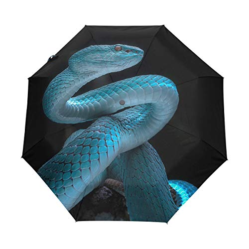 My Daily Snake Reise-Regenschirm, automatisches Öffnen/Schließen, leicht, kompakt, winddicht von My Daily