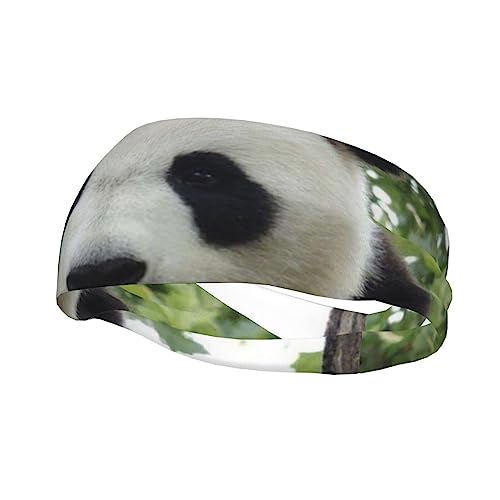 Schönes Panda-Sport-Stirnband, schweißableitendes Haarband, Sportschweißband für Laufen, Tennis, Bodybuilding, Yoga, Radfahren, Unisex-Haarband von NGANOH