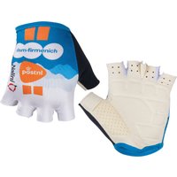 DSM-Firmenich PostNL 2024 Handschuhe, für Herren, Größe XL, MTB Handschuhe, von Nalini