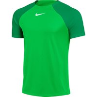 NIKE Academy Pro Dri-FIT Trainingsshirt Herren green spark/lucky green/white M von Nike
