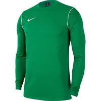 NIKE Park 20 Dri-FIT langarm Trainingsshirt Herren pine green/white/white L von Nike