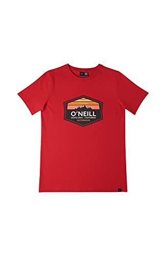 Mountain T-Shirt von O'Neill
