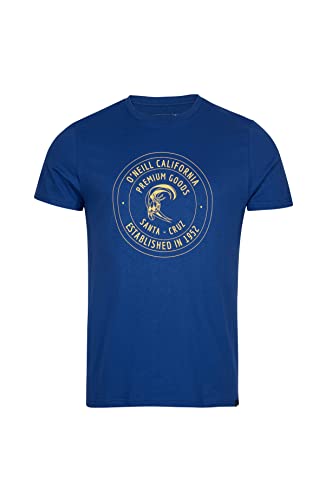 O'Neill Herren Kurzarm Explore T-Shirt Unterhemd, 15013 Surf The Web Blue, S-M von O'Neill
