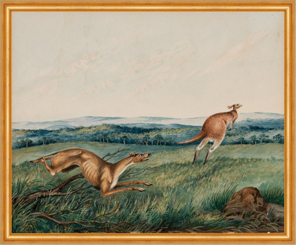 Kunstdruck Dog chasing a kangaroo Adam Gustavus Ball Tiere Hund Känguru Jagen B A, (1 St) von OTTO