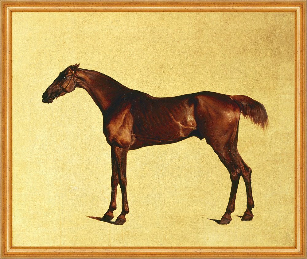 Kunstdruck Pangloss Stubbs Pferde Rassen Tiere Schlank Braun Trense B A2 00030 Ge, (1 St) von OTTO