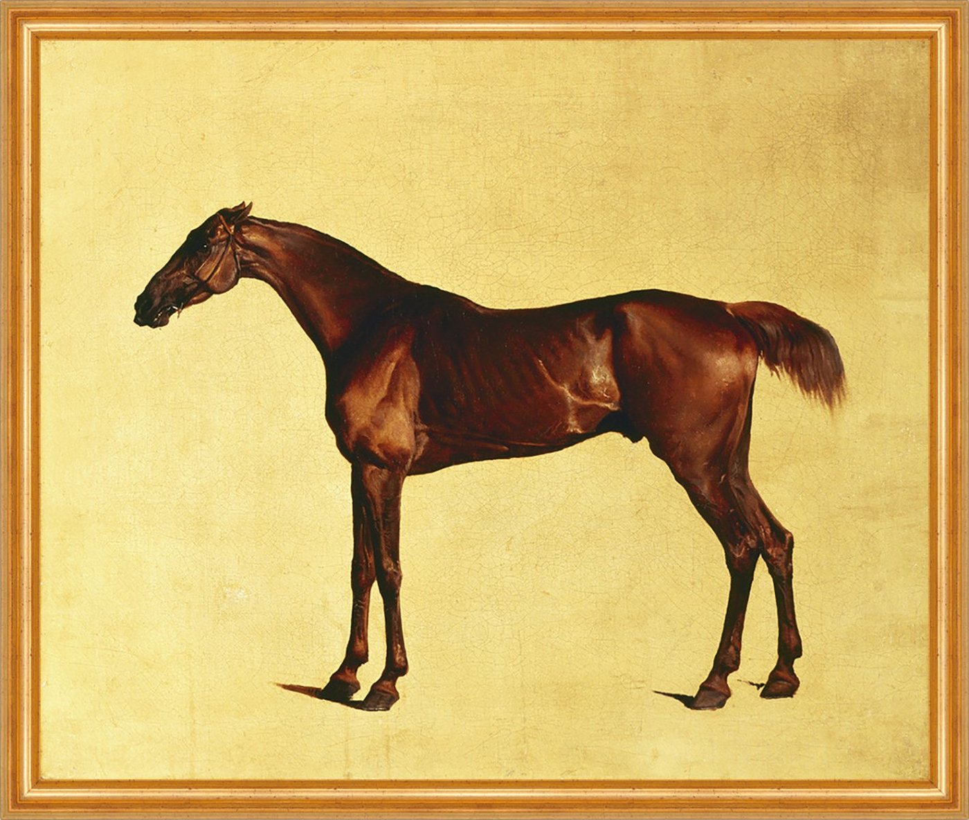 Kunstdruck Pangloss Stubbs Pferde Rassen Tiere Schlank Braun Trense Hengst B A1 0, (1 St) von OTTO
