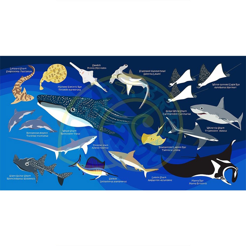 Oceanarium Sharks & Rays L Towel Blau von Oceanarium