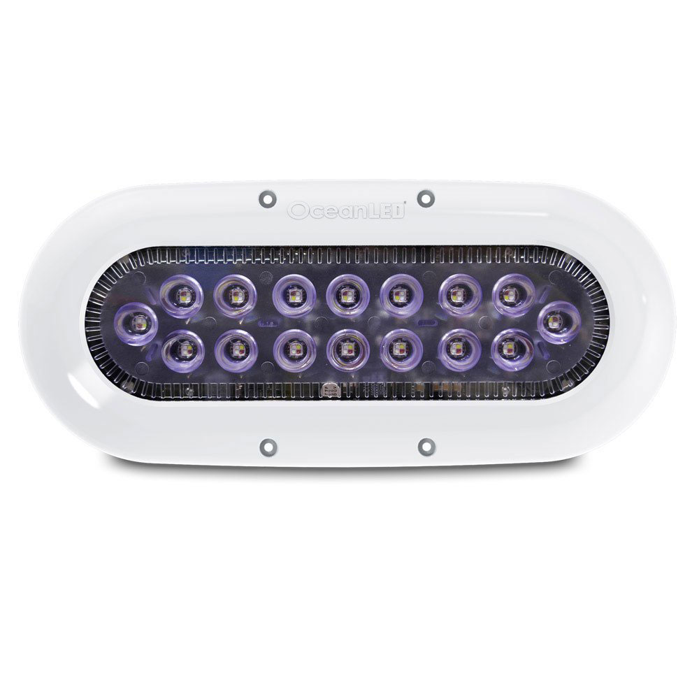 Ocean Led X16 Led Light 9-32v Durchsichtig von Ocean Led