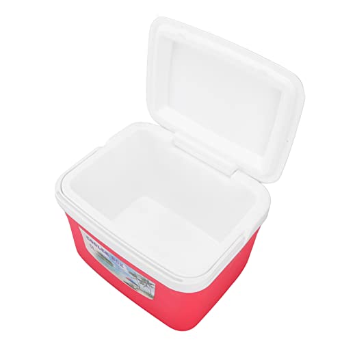 Warmer Cooler Box, Dual Purpose Red Long Lasting Kühlschrank Cooler Portable 5L Schlagfest mit Griff für Medizin für Autofahrten von Omabeta