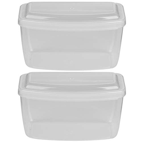 Schwimmbrillen-Box, 2 Stück, einfach, zum Tauchen und Schnorcheln (transparent) von Omabeta