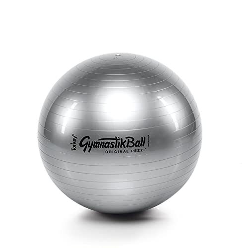 Original Pezzi Ball STANDARD 53 cm silber Gymnastikball Sitzball Training Reha von PEZZI