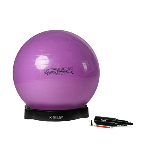 Original Pezziball Standard 53 cm violett m. Ballschale & Pumpe Gymnastikball von PEZZI