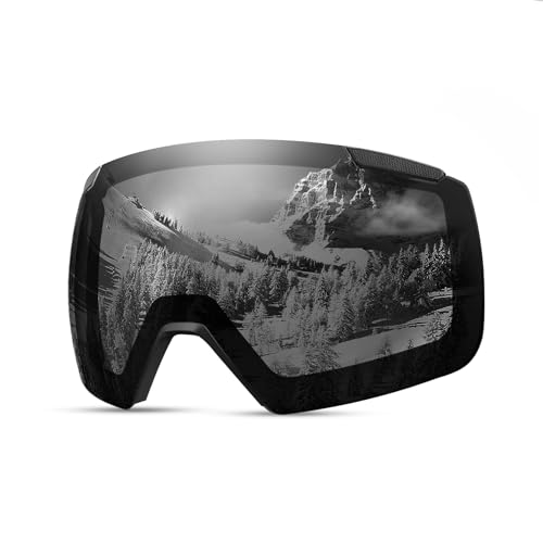 OutdoorMaster Skibrille Heron Ersatzgläser, Magnetischer Gläsertausch, Anti-Beschlag, OVP-Glas Weitsicht von OutdoorMaster