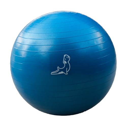 PETARYA Gymnastikball, Fitness Sitzball, 65 cm 300kg, Anti-Burst, Trainingsball Yoga Pilates Gym, Fitnessball für Core-Training, Balance Ball, Body Stretching, Yoga Ball, Blue von PETARYA
