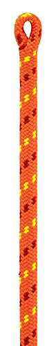 PETZL R079AA05 Seil Flow, 11,6 mm, orange, 60 m von PETZL