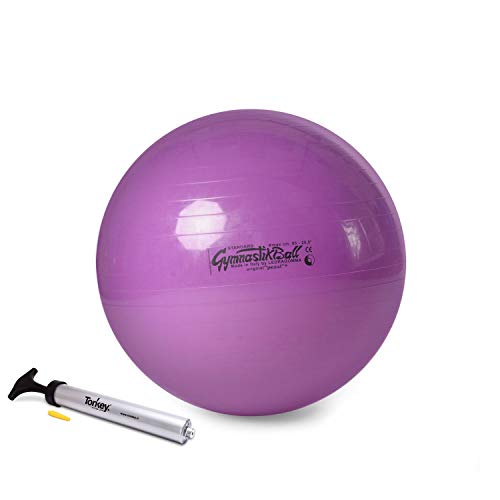 Pezziball STANDARD 53cm violett mit Pezzi Pumpe von PEZZI