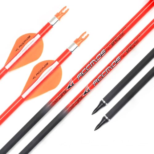 PHILOCS 12 Stück Orange Kohlepfeile Spine 300 340 400 500 600 700 800 ID 6,2mm, für Compound Bogen Recurve Bögen Jagd Bogenschießen Praxis (Spine 600, 32inch) von PHILOCS