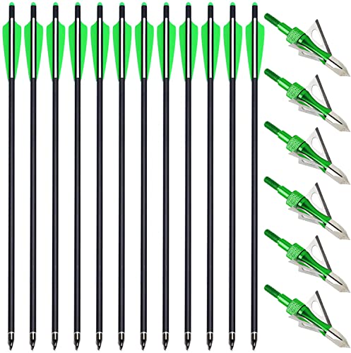 PMSM 12 Stück Carbon Armbrustbolzen 20 Zoll Armbrustpfeile und 6 Stück Armbrust Jagdspitzen kit,Armbrust Carbonpfeile für Jagd und Zielbogenschießen Schießen (20Zoll grün und grün) von PMSM