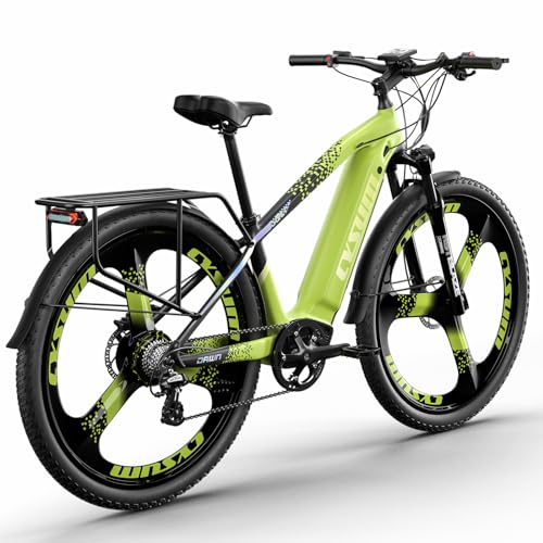 PRASHANT Speedy Mountainbike 29 Zoll MTB Fahrrad für Erwachsene Mann Frau, Pendler City Fahrrad mit hydraulischer Scheibenbremse (grün-1) von PRASHANT