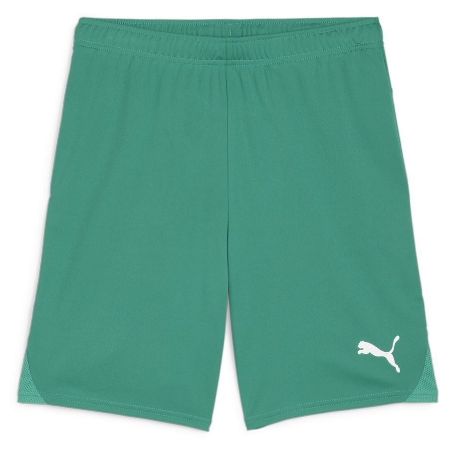 PUMA Fußball Shorts teamGOAL - Grün/Weiß von PUMA