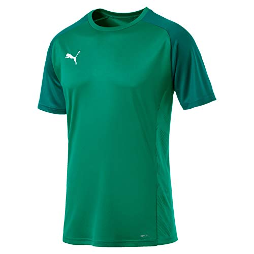 PUMA Herren Cup Sideline Tee Core T-Shirt, Pepper Green-Alpine Green, 3XL von PUMA