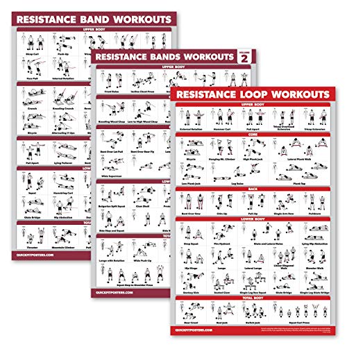 3er-Pack: Resistance Bands Workouts Volume 1 & 2 + Resistance Loops Übungen Poster Set – Set mit 3 Workout Charts (laminiert, 45,7 x 61 cm) von Palace Learning