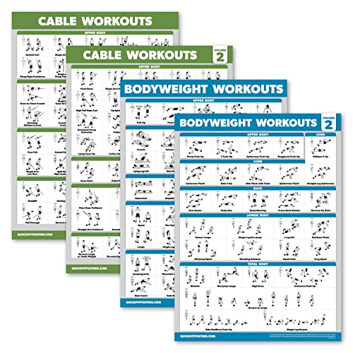 Kabelmaschinen-Workout-Poster Band 1 & 2 + Körpergewichts-Übungen, Tabelle Volume 1 & 2 (laminiert, 45,7 x 61 cm) 4 Stück von Palace Learning